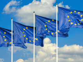 Bild: © tashka2000 - Fotolia.com