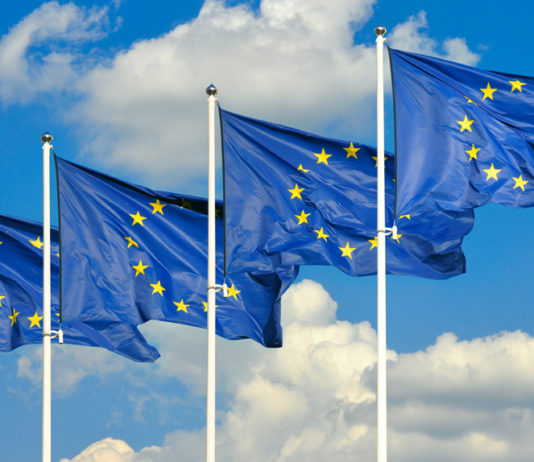 Bild: © tashka2000 - Fotolia.com