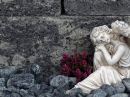 Bild: © racamani - Fotolia.com