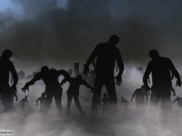 Bild: © Tabthipwatthana - Fotolia.com