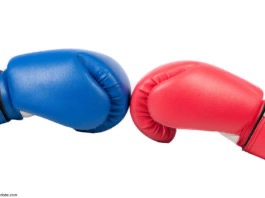 Boxenhandschuhe; © Alex Green - stock.adobe.com