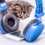 Smartphone, Kopfhörer, Katze; © Volodymyr - stock.adobe.com