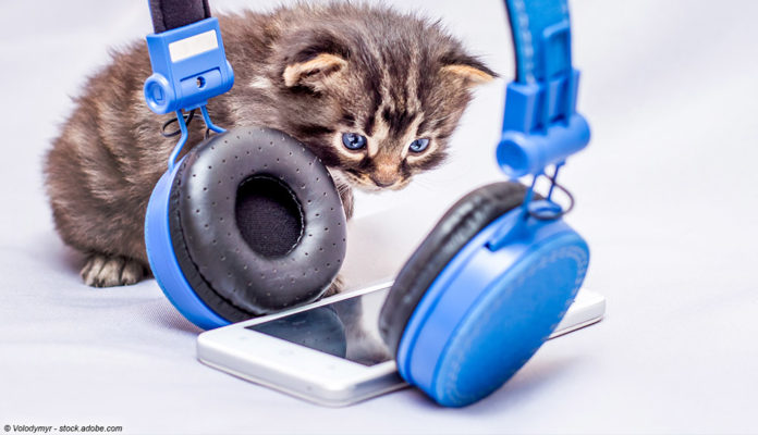 Smartphone, Kopfhörer, Katze; © Volodymyr - stock.adobe.com