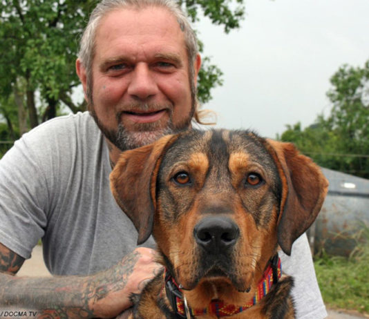 Mann, Hund; © Großeinsatz im Tierheim, VOX / DOCMA TV