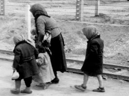 ZDF, Dokumentation, Holocaust, Auschwitz; ZDF