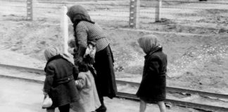 ZDF, Dokumentation, Holocaust, Auschwitz; ZDF