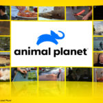 Logo Animal Planet