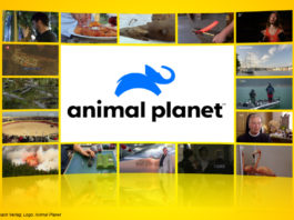Logo Animal Planet