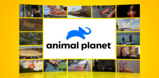 Logo Animal Planet