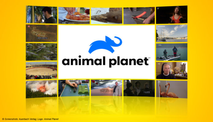 Logo Animal Planet