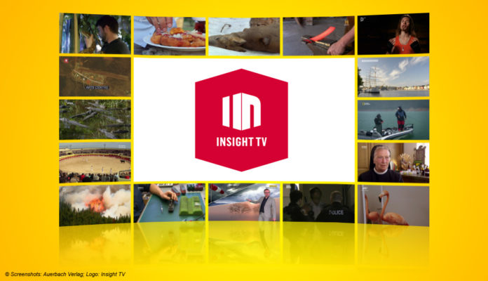 Logo Insight TV