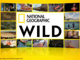 Logo National Geographic Wild