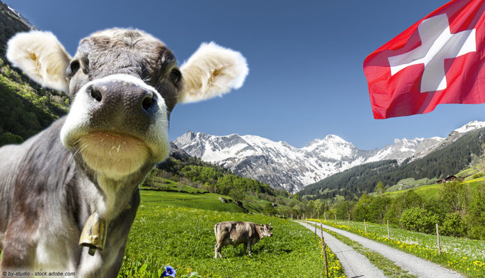 Schweiz, Flagge, Kuh; © by-studio - stock.adobe.com