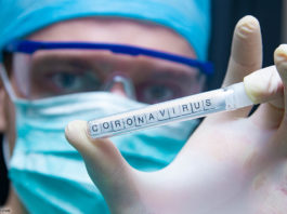 Corona © velimir - stock.adobe.com