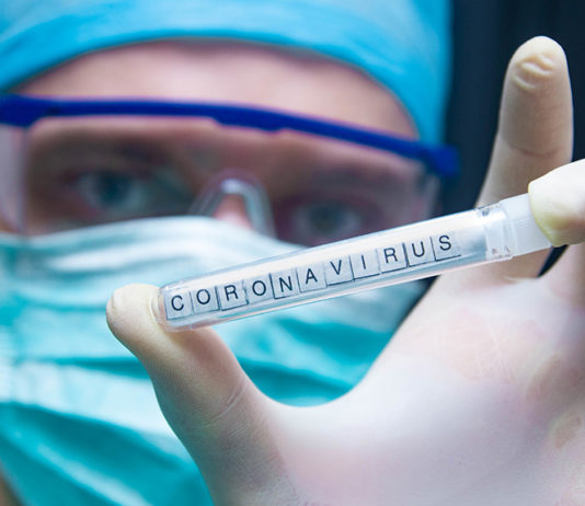 Corona © velimir - stock.adobe.com