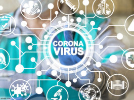 Corona © wladimir1804 - stock.adobe.com