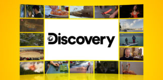 Logo Discovery Channel