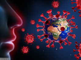 Corona Virus