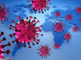 Corona-Virus Welt