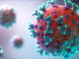 Corona-Virus
