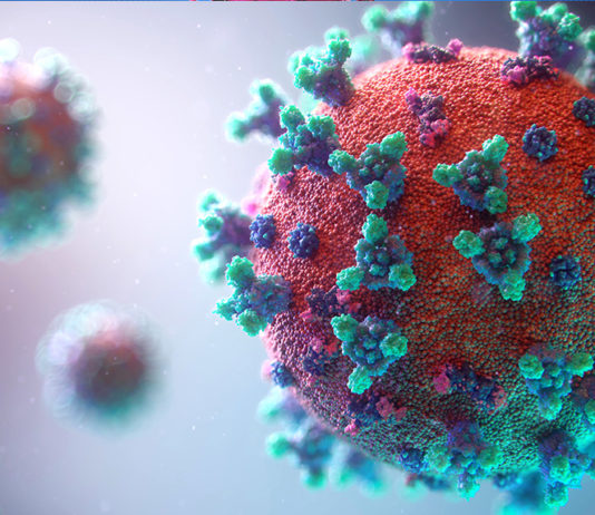 Corona-Virus