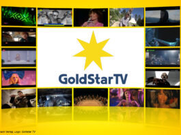 Logo: Goldstar TV