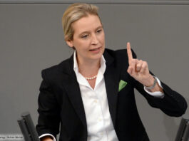 Alice Weidel, AfD