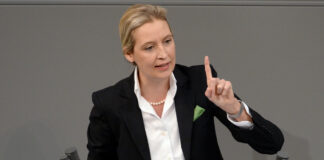 Alice Weidel, AfD