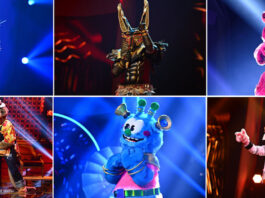 The Masked Singer: Finale am 24.11.2020