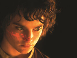 Frodo der Herr der Ringe