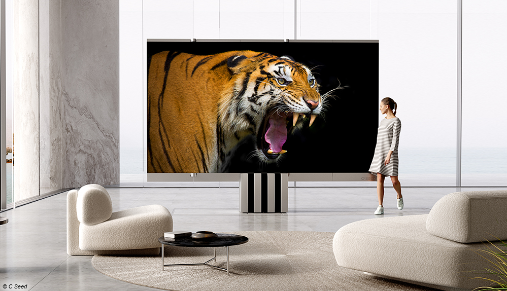 C SEED M1 - ein faltbarer 165-Zoll-TV, der so viel kostet wie ein Haus