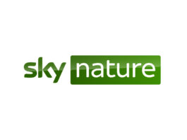 Sky Nature