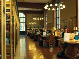 Bibliothek - filmfriend - Das Filmportal der Bibliotheken, Bild: filmwerte GmbH