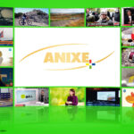 Logo: Anixe+