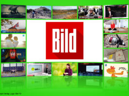 Logo: Bild TV