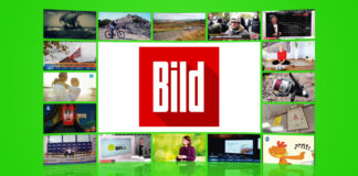 Logo: Bild TV