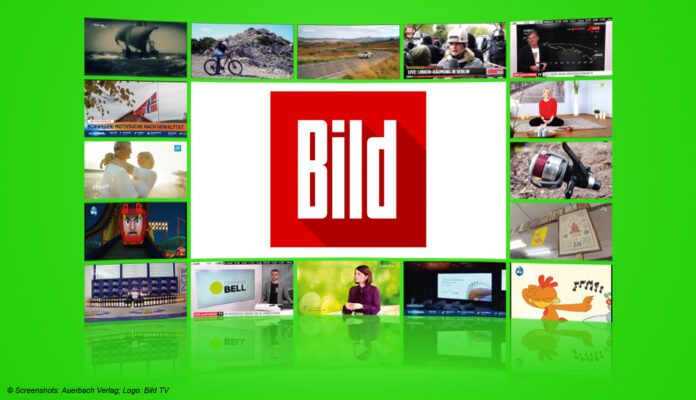 Logo: Bild TV