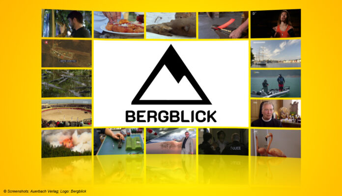 Logo: Bergblick