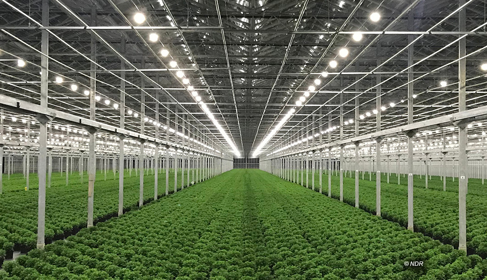 "Land": Doku über Landwirtschaft feiert heute Mediathek-Premiere