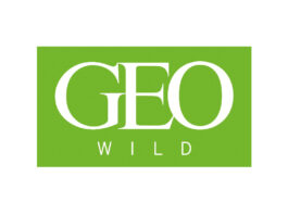 Logo Geo Wild © RTL