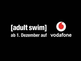 adult swim