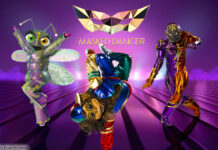 "The Masked Dancer" bei ProSieben