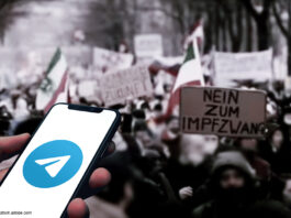 Telegram-Verbot gefordert: Eine Plattform für Querdenker?