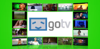 Logo: gotv