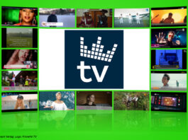 Logo: Kronehit TV
