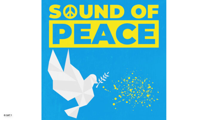 Logo Sound of Peace Friedenskundgebung