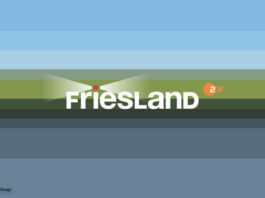 ZDF Friesland Logo