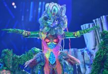 Galax'Sis on Staffel 6 von The Masked Singer