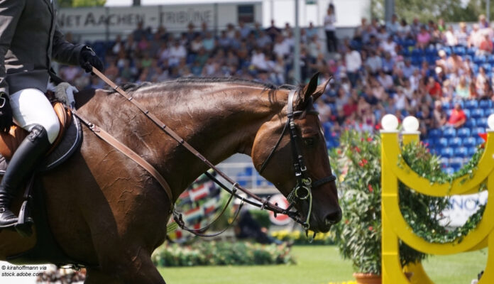 Reitsport Reiten Symbolfoto