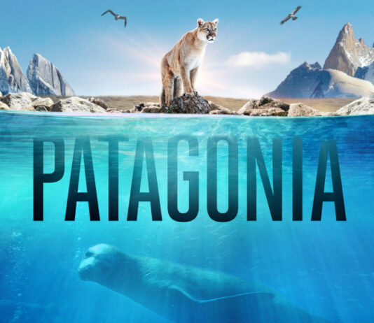 Logo Patagonia